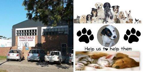 WAGTAILS CHARITY SHOP - AWS PE