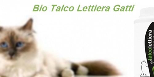 progettokire