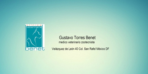 Clinica Veterinaria Benet