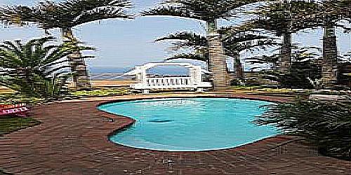 bluff tradewinds