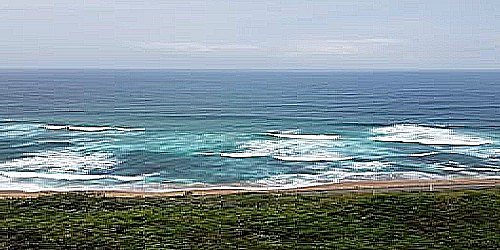 bluff tradewinds