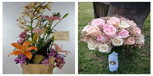 LA ROSA DE ZARON