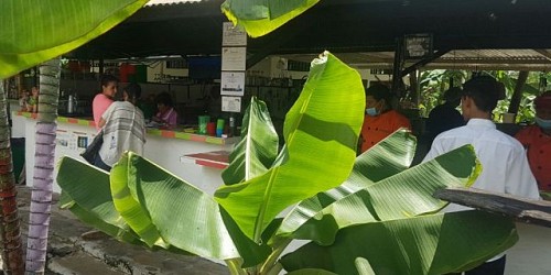 Club Campestre Los Kioskitos Rivera Huila