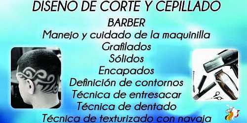 ACADEMIA LATINOAMERICANA DE BELLEZA