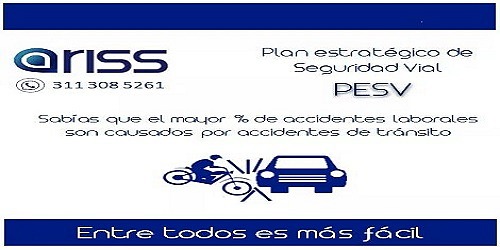 Ariss S.A.S