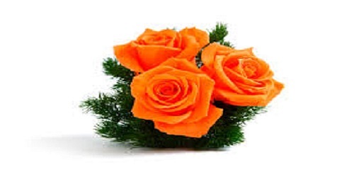Floristería Klipsa