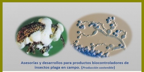 Biotecnología agro ambiental