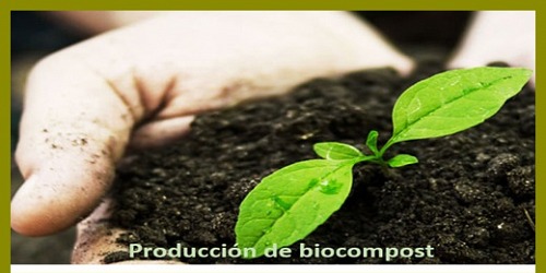 Biotecnología agro ambiental