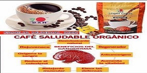 D X N cafe con ganoderma
