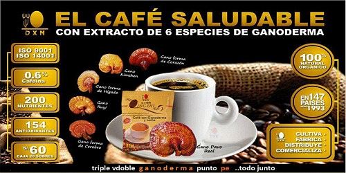 D X N cafe con ganoderma