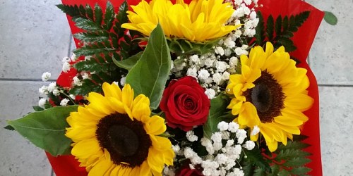 Fiori A Bologna