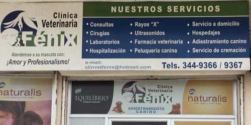 CLINICA VETERINARIA FENIX