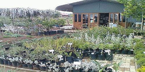Blyfontein Kwekery