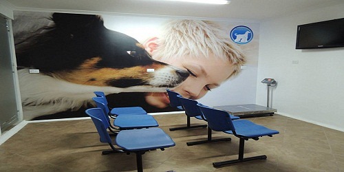 CLÍNICA VETERINARIA EL CLUB DE LAS MASCOTAS