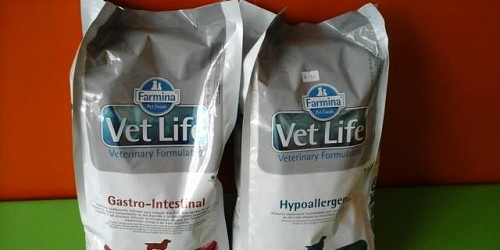 VETERINARIA AMERICANA SOPOCACHI