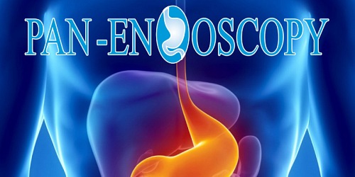 PANENDOSCOPY - Servicios en Gastroenterología