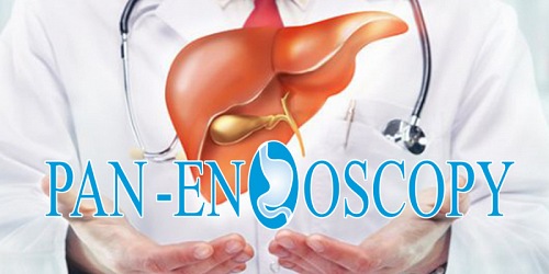 PANENDOSCOPY - Servicios en Gastroenterología
