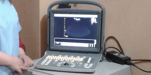 VETERINARIA AMERICANA SOPOCACHI