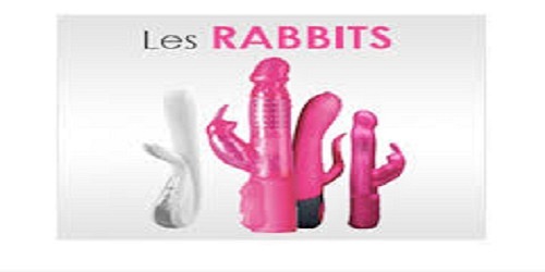 SEX SHOP EN LOS MOCHIS