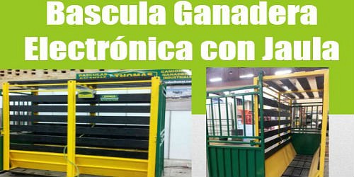 BASCULAS THOMAS SAS Basculas Camioneras, Ganaderas Bogotá