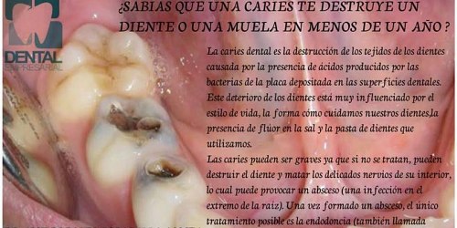DR. JOSE CARLOS REYNA BEDOYA