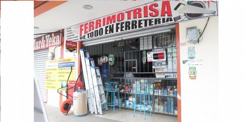 Ferrimotrisa