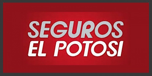 Agente de seguros en Leon, ALEX
