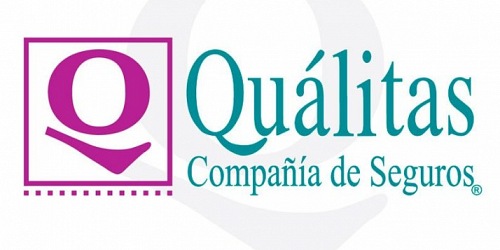 Agente de seguros en Leon, ALEX