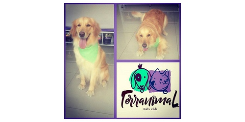 TERRANIMAL PETS CLUB.