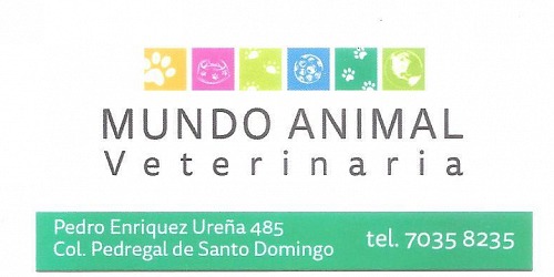 CLÍNICA VETERINARIA MUNDO ANIMAL COYOACÁN