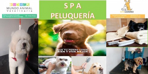 CLÍNICA VETERINARIA MUNDO ANIMAL COYOACÁN