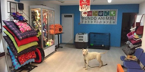 CLÍNICA VETERINARIA MUNDO ANIMAL COYOACÁN