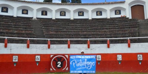 Pintulago