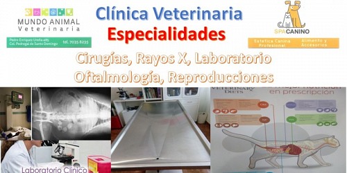 CLÍNICA VETERINARIA MUNDO ANIMAL COYOACÁN