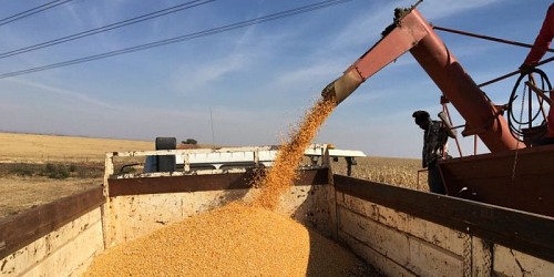 A & A Fodder Suppliers