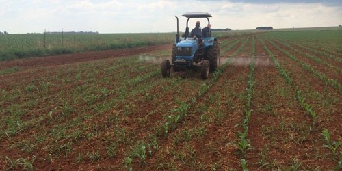 A & A Fodder Suppliers