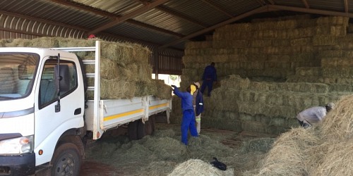 A & A Fodder Suppliers