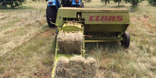 A & A Fodder Suppliers