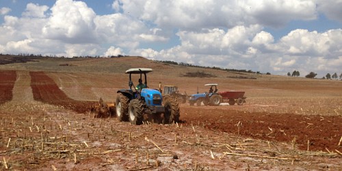 A & A Fodder Suppliers