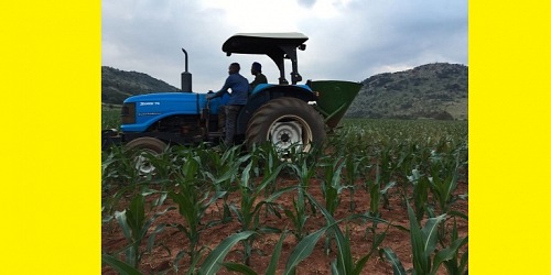 Anton Lombaard Plant Hire