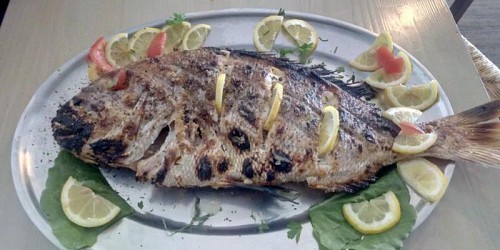ΕΣΤΙΑΤΟΡΙΟ θΑΛΑΣΣΙΝΩΝ ΒΟΡΙΑΣ ΨΑΡΟΤΑΒΕΡΝΑ ΨΑΘΟΠΥΡΓΟΣ ΠΑΤΡΑ