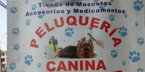 ANIMALINDOS CENTRO DE ESTÉTICA MASCOTAS