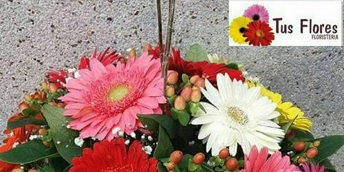 TUS FLORES Floristería