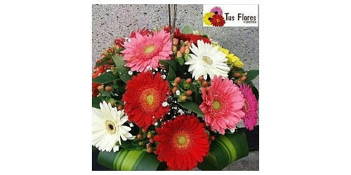 TUS FLORES Floristería