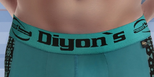 INDUSTRIAS DIYONS