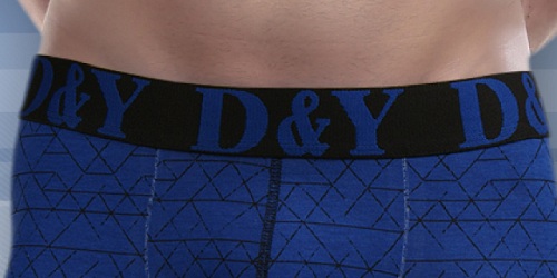 INDUSTRIAS DIYONS