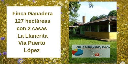 ADIR Y C SAS Inmobiliaria
