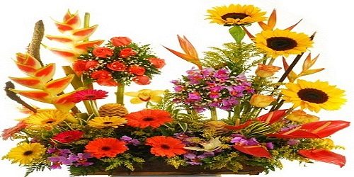 Yafra Flores y Decoraciones