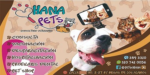 Ohana Pets Consultorio Veterinario Cali