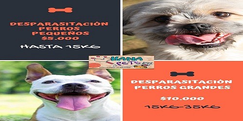 Ohana Pets Consultorio Veterinario Cali